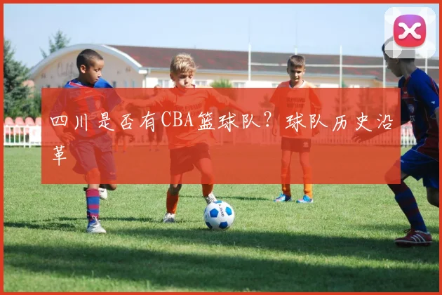 四川是否有CBA篮球队？球队历史沿革