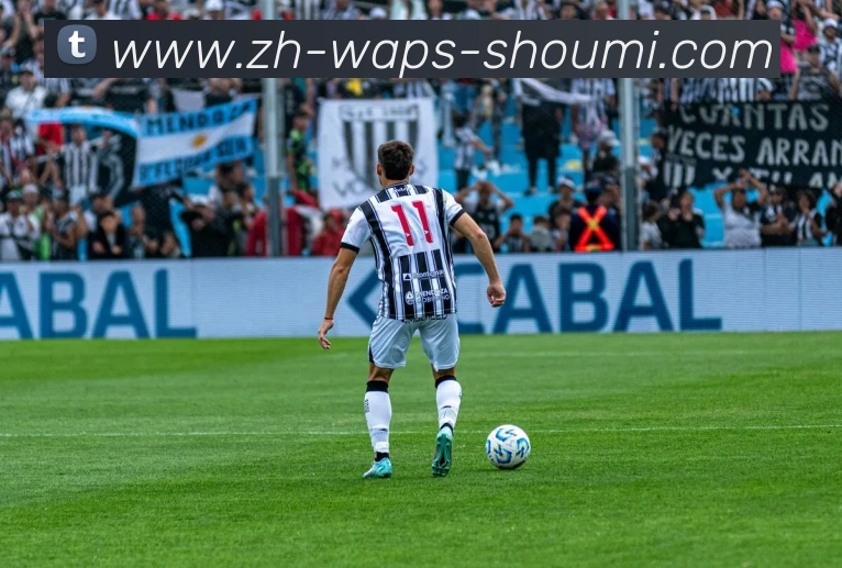 收米体育直播平台生态图