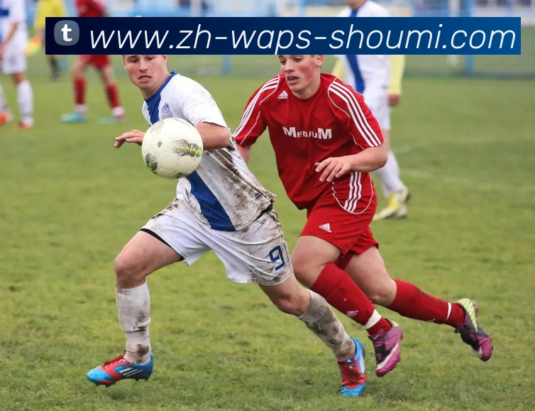 数据防护可视化